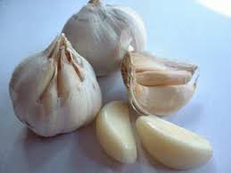 Hasil gambar untuk bawang putih