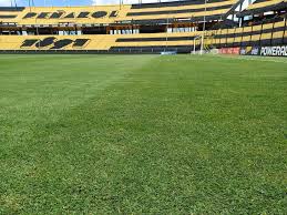 El Observador - News update