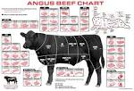 What s Angus beef? - Slate