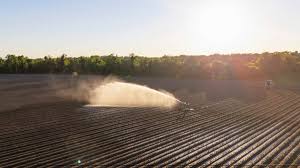 California announces voluntarily cancellation of common commercial pesticide