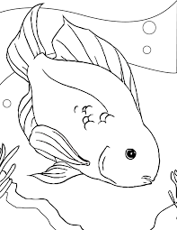 fish coloring pages ile ilgili görsel sonucu