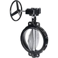12" Cast Iron Butterfly Valve Wafer Gear | RKG12 ...