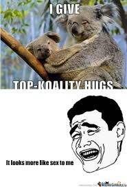 nice koala meme pictures 2013-2014 - Hollywood fashion trend via Relatably.com