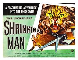 Image result for incredible shrinking man + images