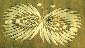 Magnificient ʙuттerfly Crop Circle Near Ashbury, England (July 20, 2007)
