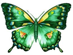 Image result for animated butterflies wallpaper