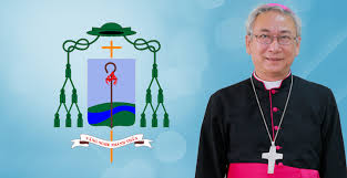 Kết quả hình ảnh cho đức cha emmanuel nguyễn hồng sơn