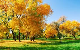 Image result for Amazing HD Nature Wallpapers For Desktop