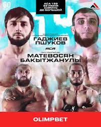 Meta MMA - News update