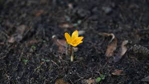 Wetter - Milde Tage und frostige Nächte in Berlin und Brandenburg - Panorama