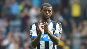 Image result for NEWCASTLE 2 BRIGHTON 0