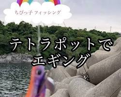 テトラポットでのエギングの画像