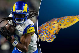 Davante Adams' Australia 'research' took a deadly turn: What NFL analysts missed before Rams opener
