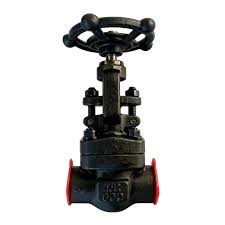 Globe Valves for Flow Regulation | OEM, Custom & Private Label