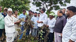 The Hindu - News update