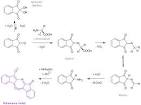 Versuch: Nachweis von Aminosäuren: Die Ninhydrin-Reaktion