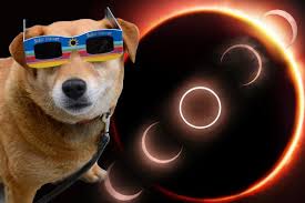 Image result for solar eclipse 2015