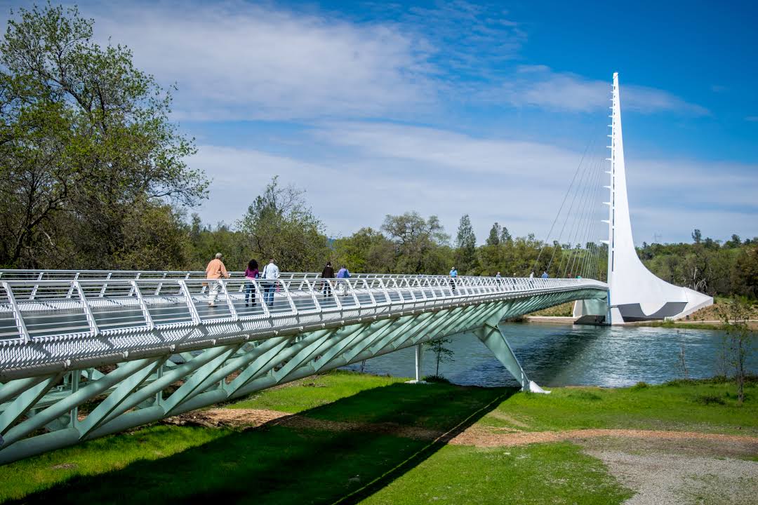 Turtle Bay Exploration Park.