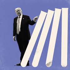 An O.M.B. Plan to Defund Science—and Anything Trump Doesn’t Like