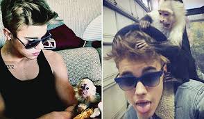 Bieber abandons monkey friend ... - 8510328