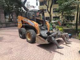 La Jornada - News update