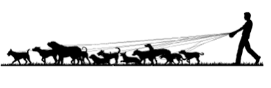 Resultado de imagen para perros de paseo