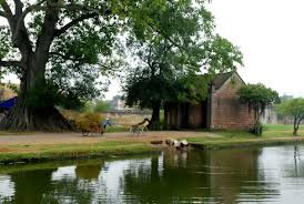 Kết quả hình ảnh cho hình ảnh làng quê xưa