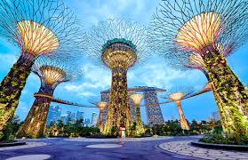 Image result for du lịch singapore