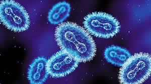 Mpox returns to Northern Nevada. What to know