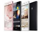 Huawei ascend pgsm