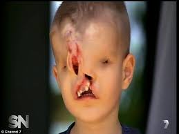Image result for BOY PICS