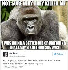 Image result for ok good meme