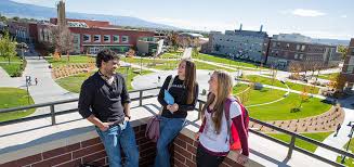 Image result for colorado mesa university