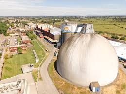 Iansa Remolacha : ce qu'il faut savoir — image 4