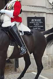 Orders Ignored! This Horse Was Definitely Not Having It Today! 🤣🐴 - YouTube