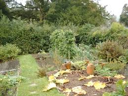 Vegetable Garden Image