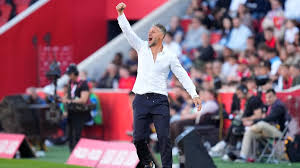 fußball-bundesliga