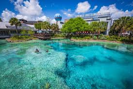 My Favorite Sit-Down Dining Deal at Disney World Costs Under $10