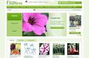 Garten Gartenpflanzen Manufactum Online Shop