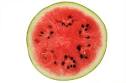 Fruit With Seeds or Pits - Percent (Level 1) -