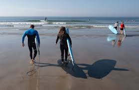 So, should Mainers be afraid of sharks or not? | Column