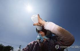 연합뉴스 - News update