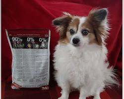 Zinc proteinate dog food ingredient