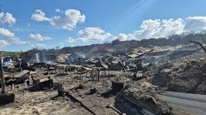 Trend Google: incendio peschici