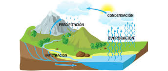 Resultado de imagen de el ciclo del agua