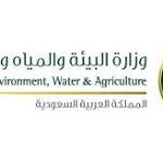 غدا.. البيئة تبدأ عمليات الرش