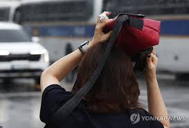 날씨예보 관련 이미지