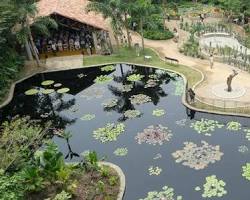 Imagen de Jardín Botánico de Cali Cali