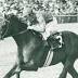 Alydar: 'Destined for Greatness'