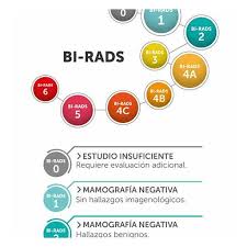 birads 6 o que significa